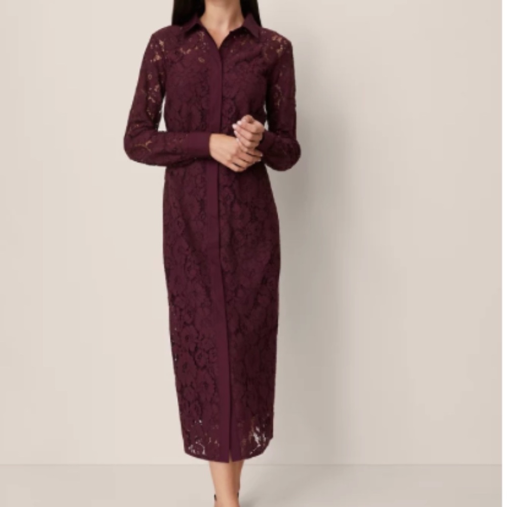 Ann Taylor Belted Lace Midi Shirtdress Poised Plum Women